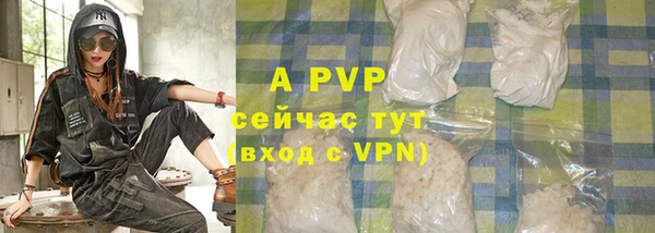 стафф Арсеньев