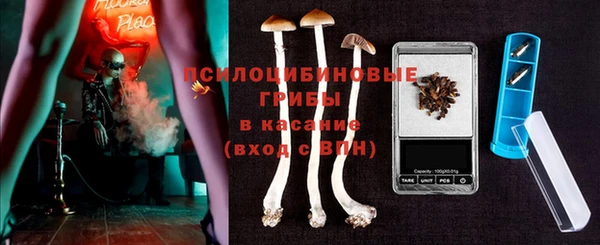 стафф Арсеньев