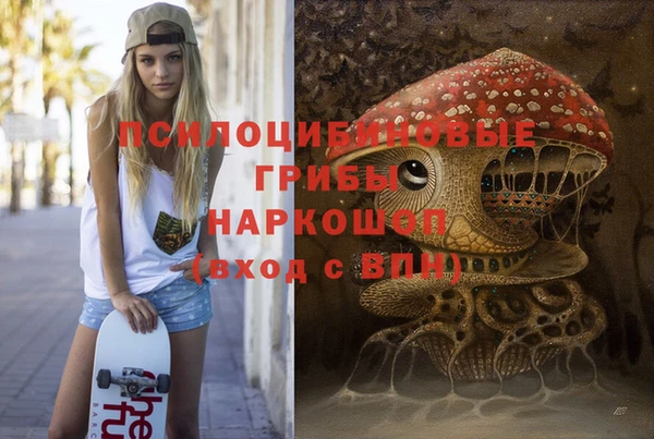 стафф Арсеньев